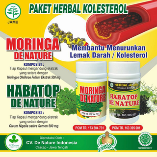 Illustration for article titled Obat Kolesterol Secara Alami